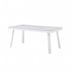 Alpha rectangle dining table S1