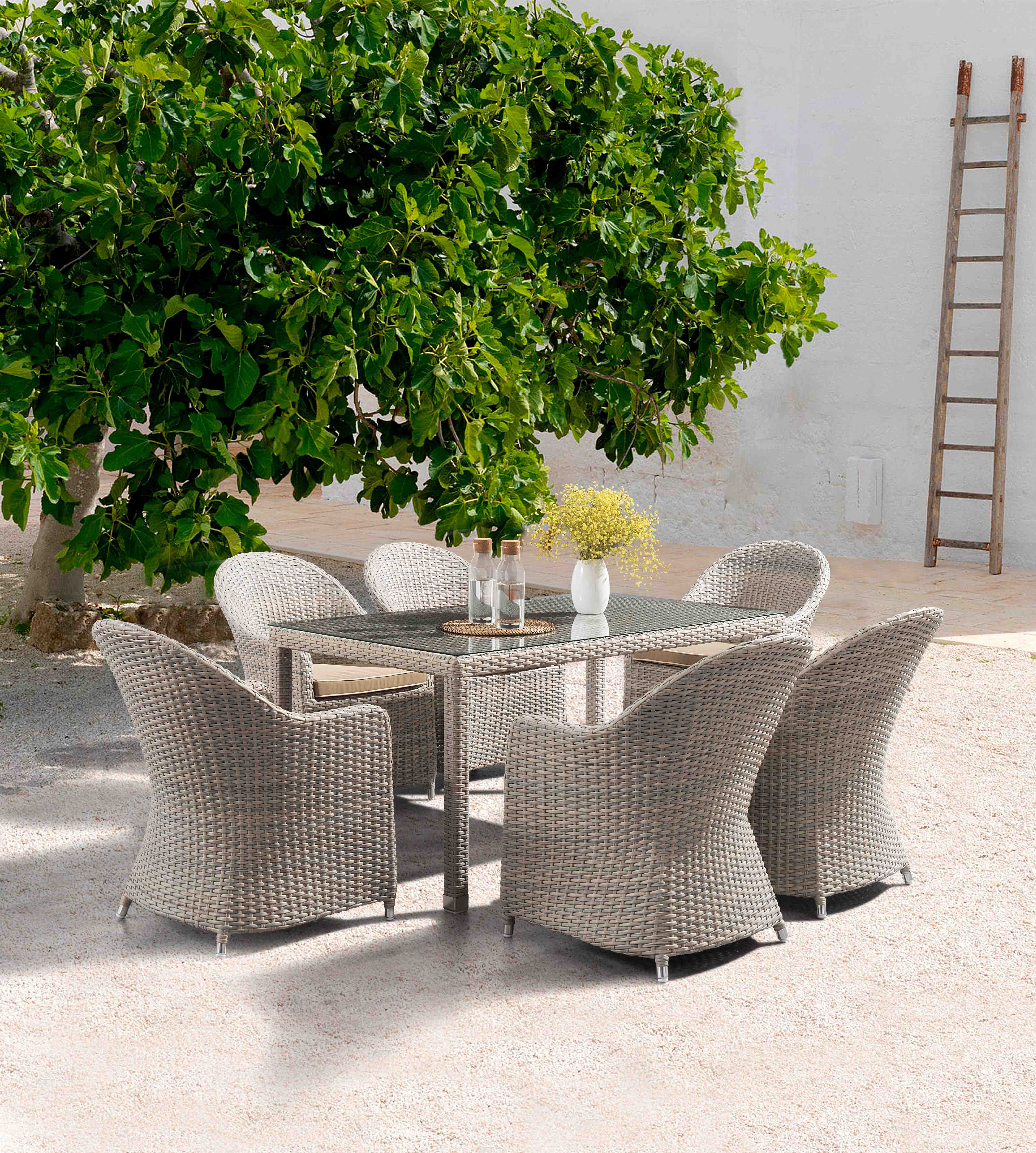 Ideale rotan dining set S2