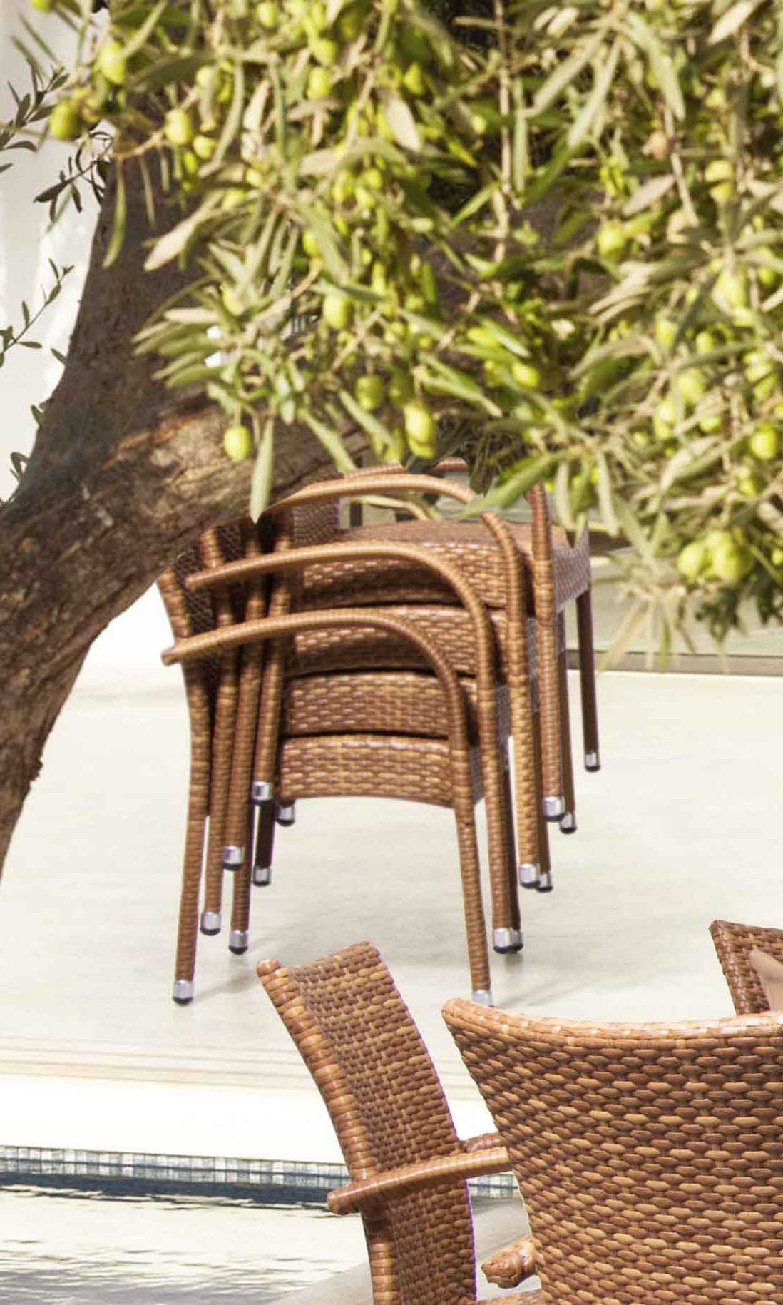 Jada dining chair D4