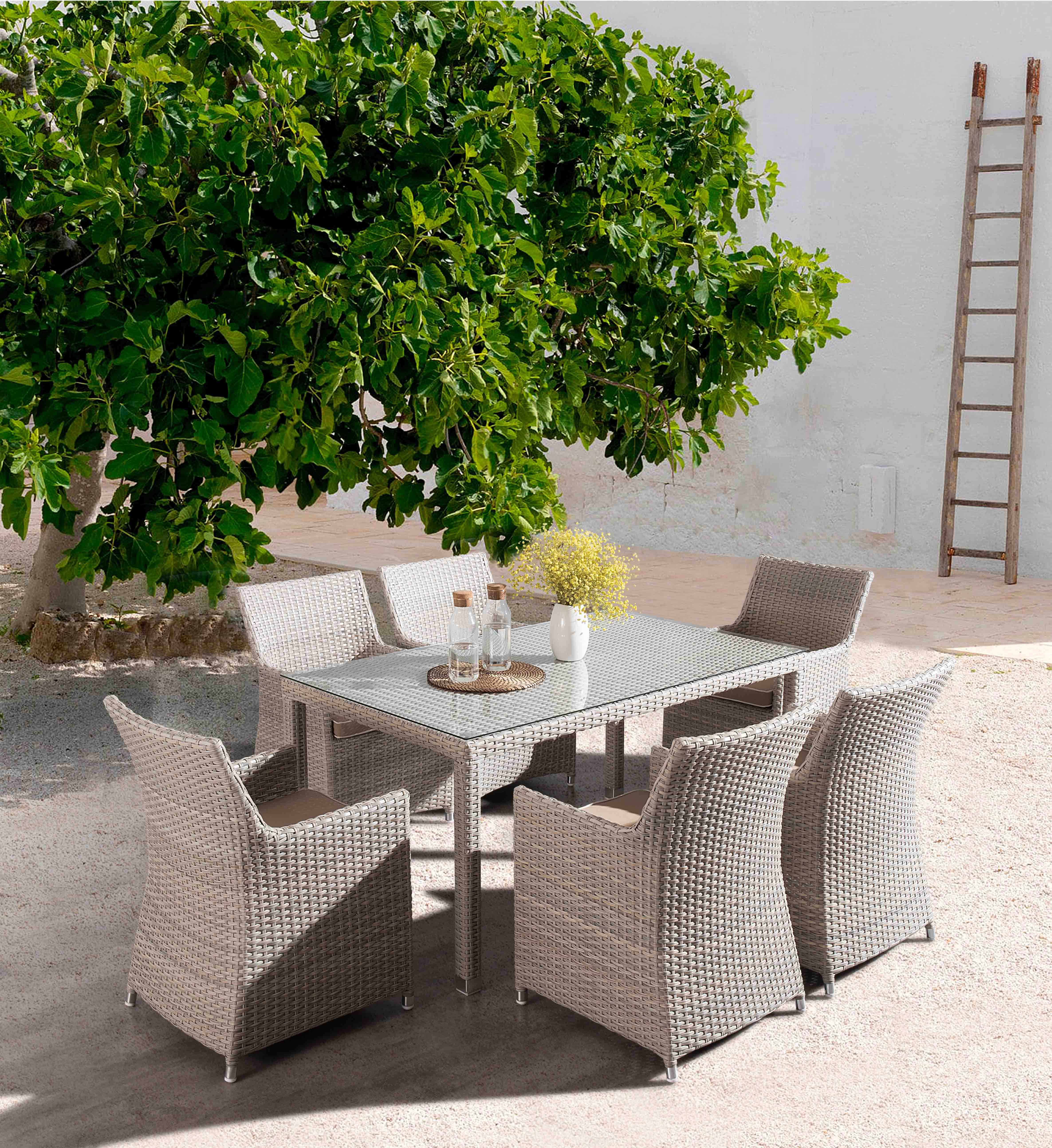 Sky rattan dining set S3