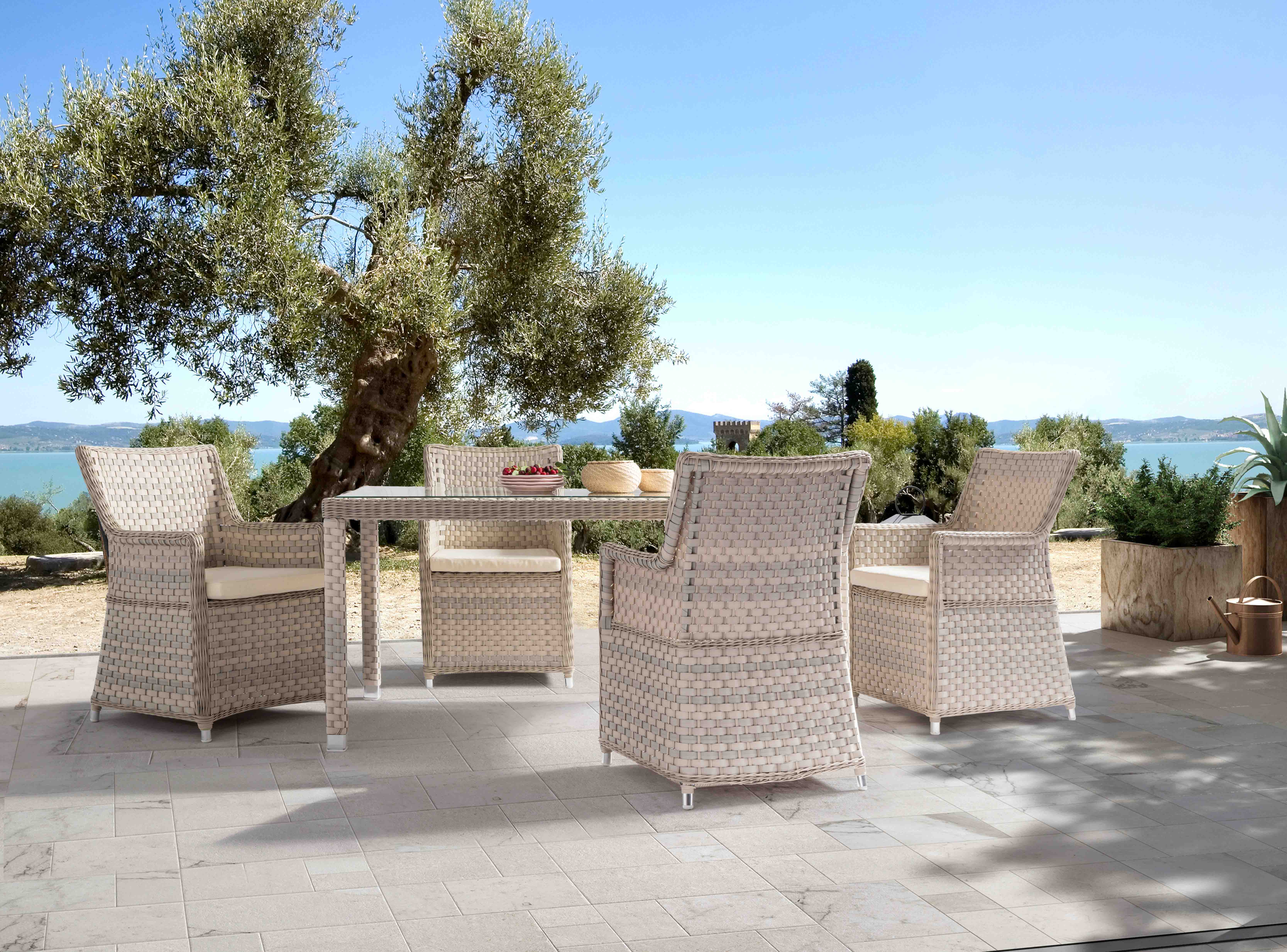 Spring rattan dining set S1