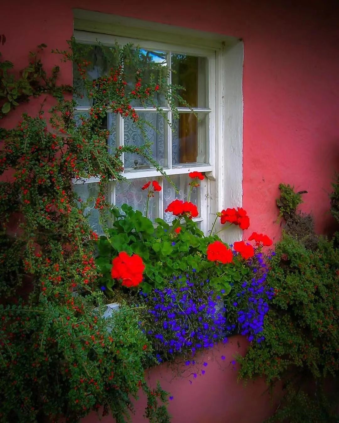 Janelas 5