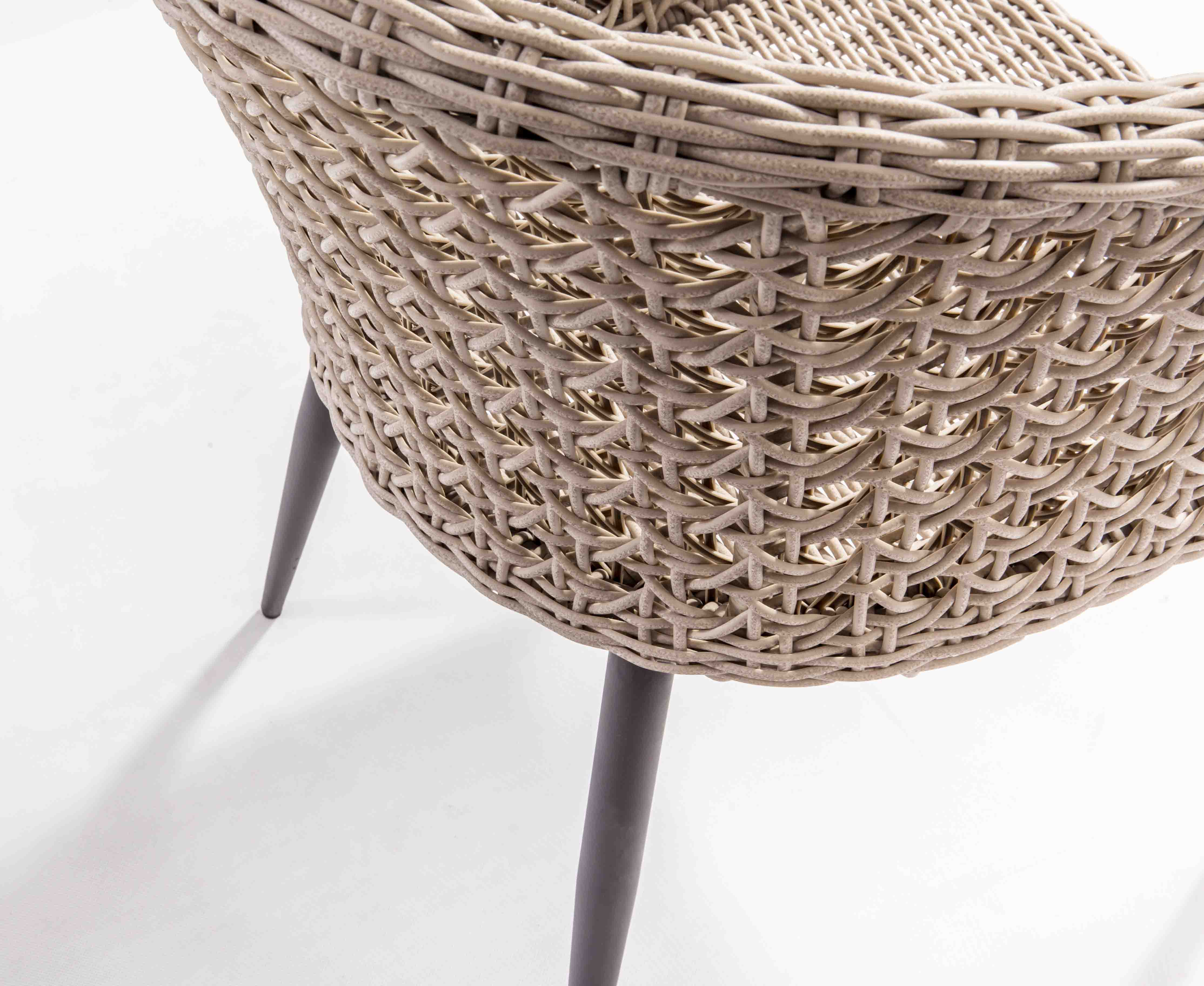 Wing rattan dining chair D2
