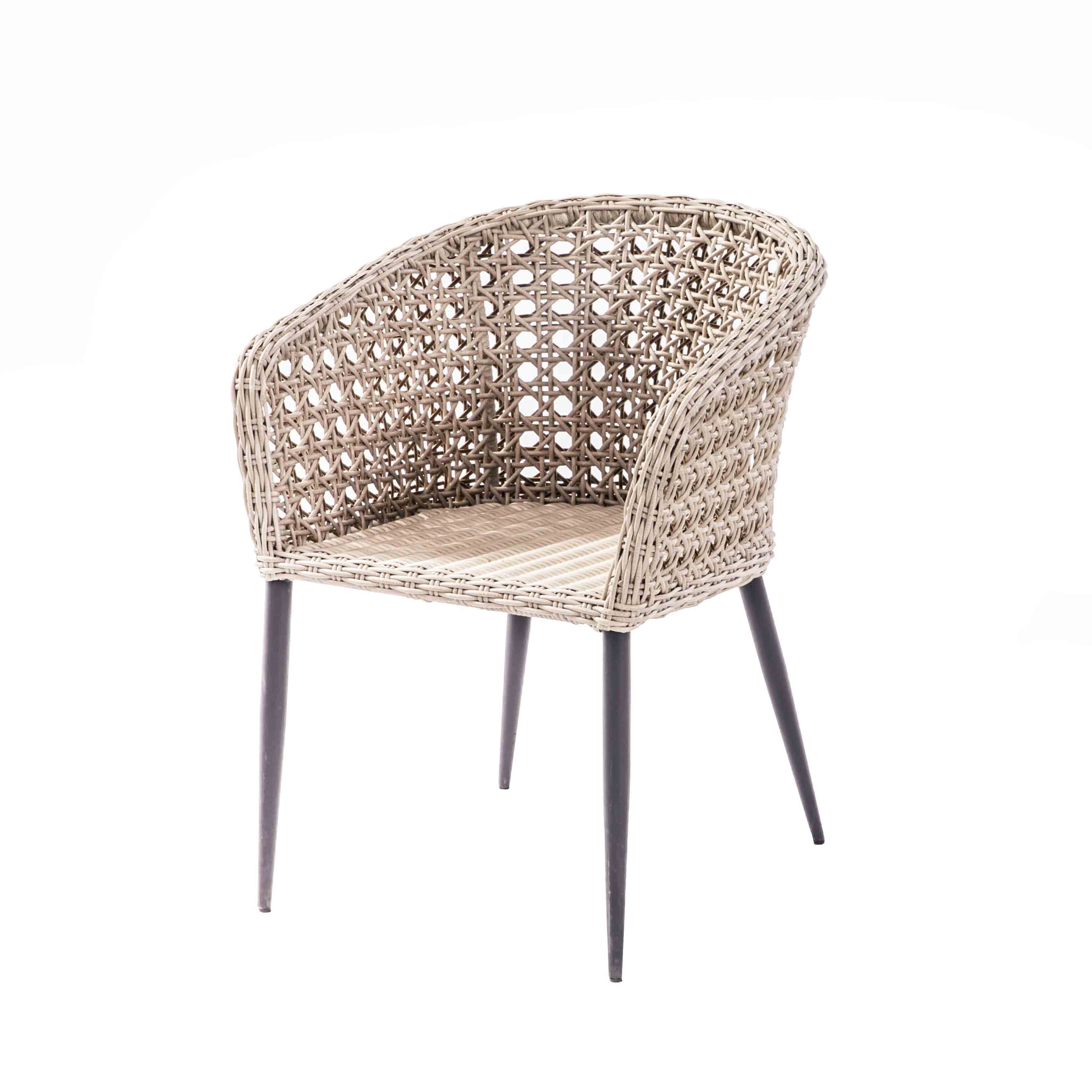 Wing rattan dining chair S1