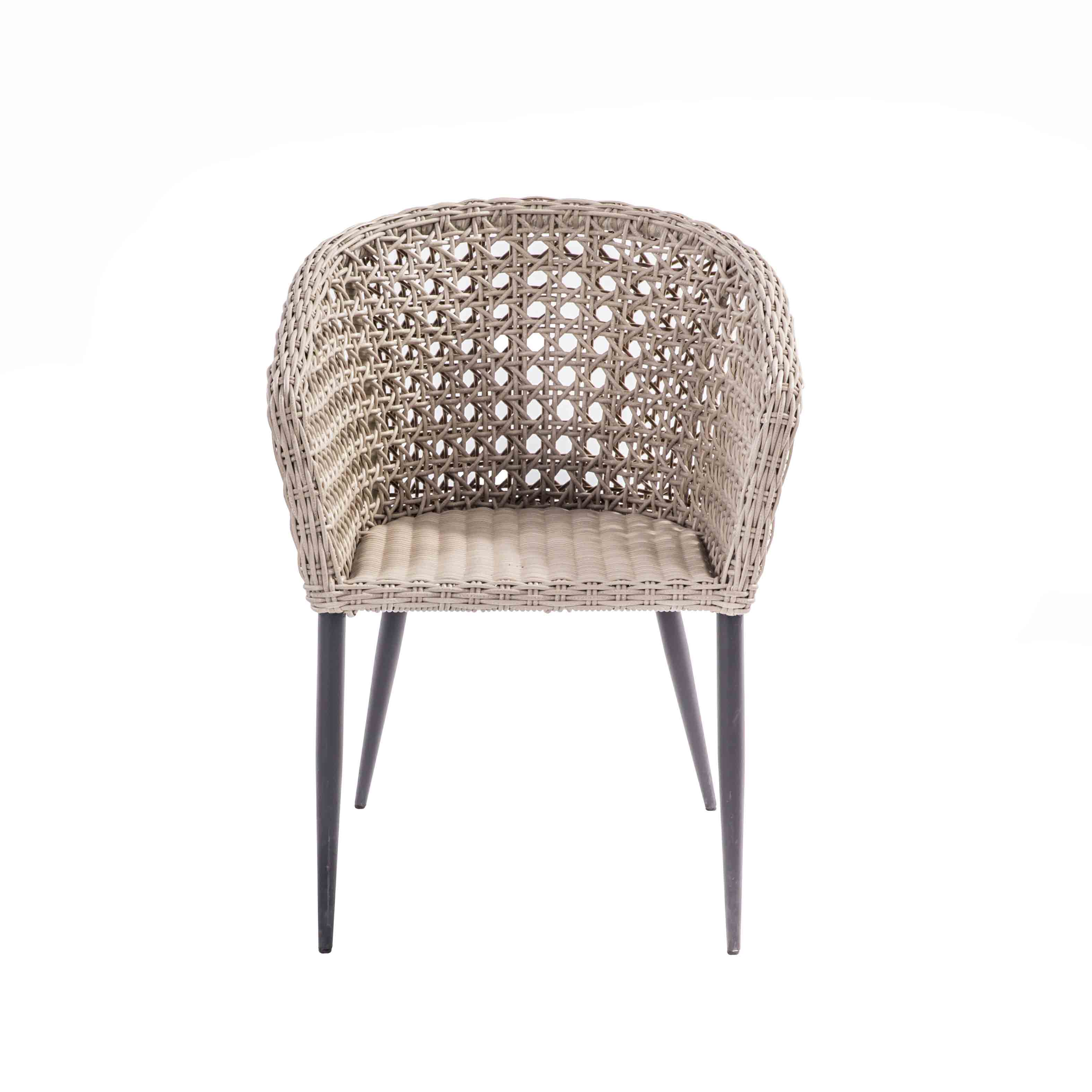 Wing rattan dining chair S2