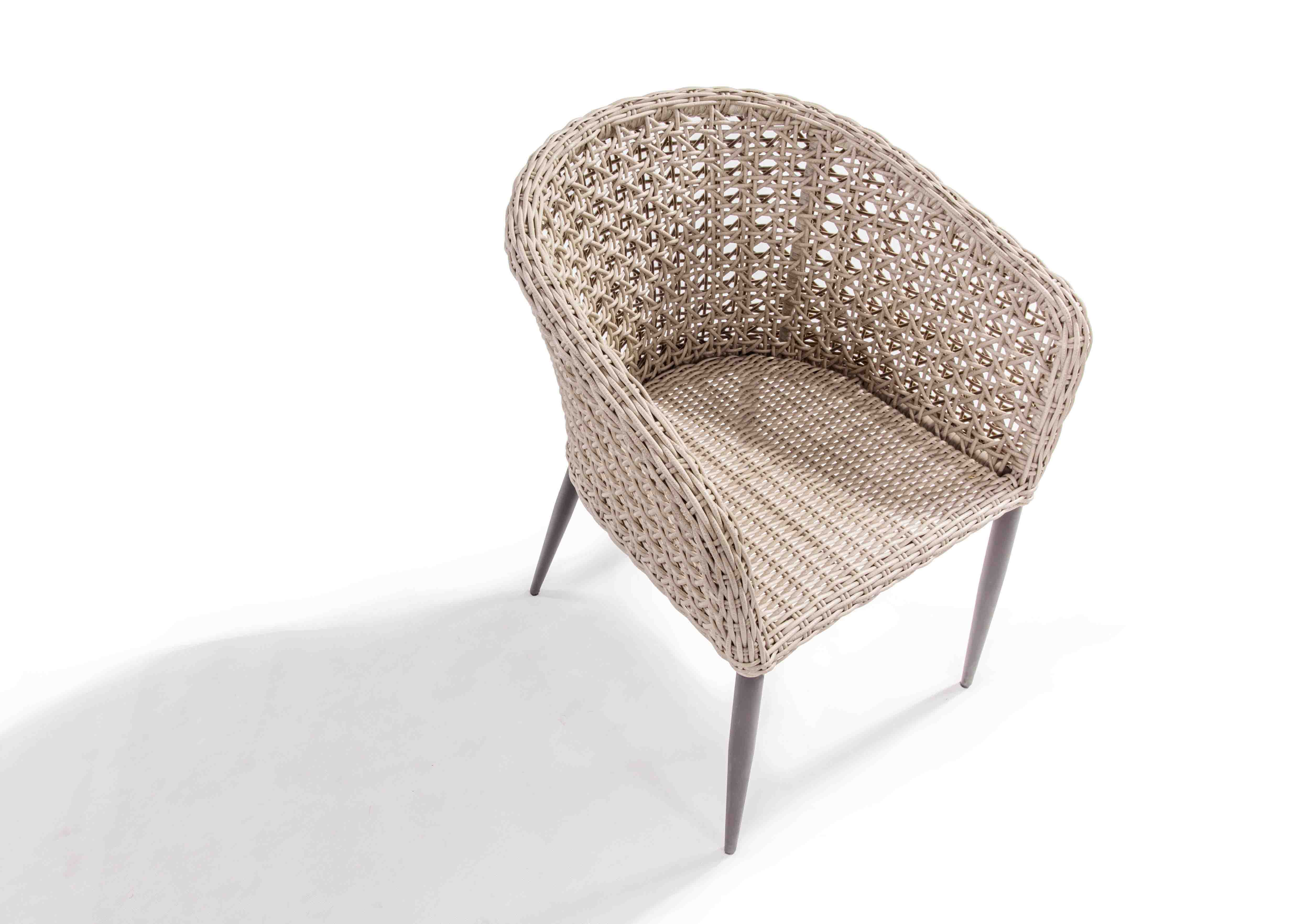 Wing rattan dining chair S4
