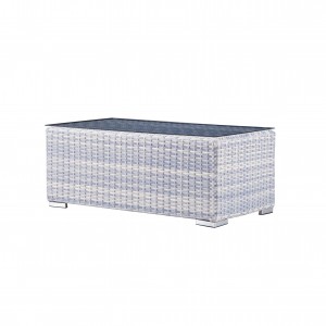 Autumn rattan coffee table S1