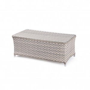 Jenny II rattan coffee table S1