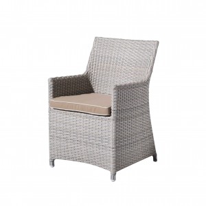 Sky rattan dining chair S1