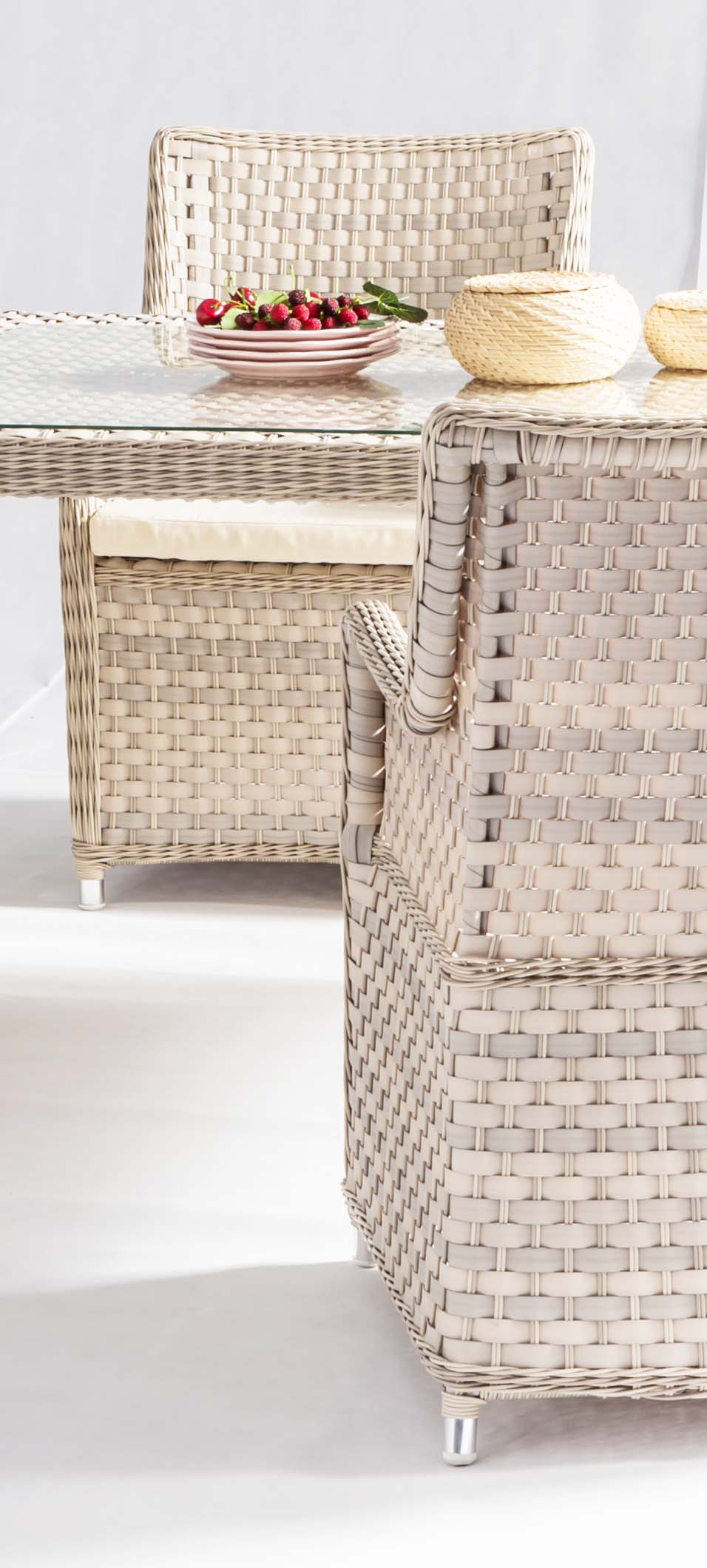 Spring rattan dining chair D2