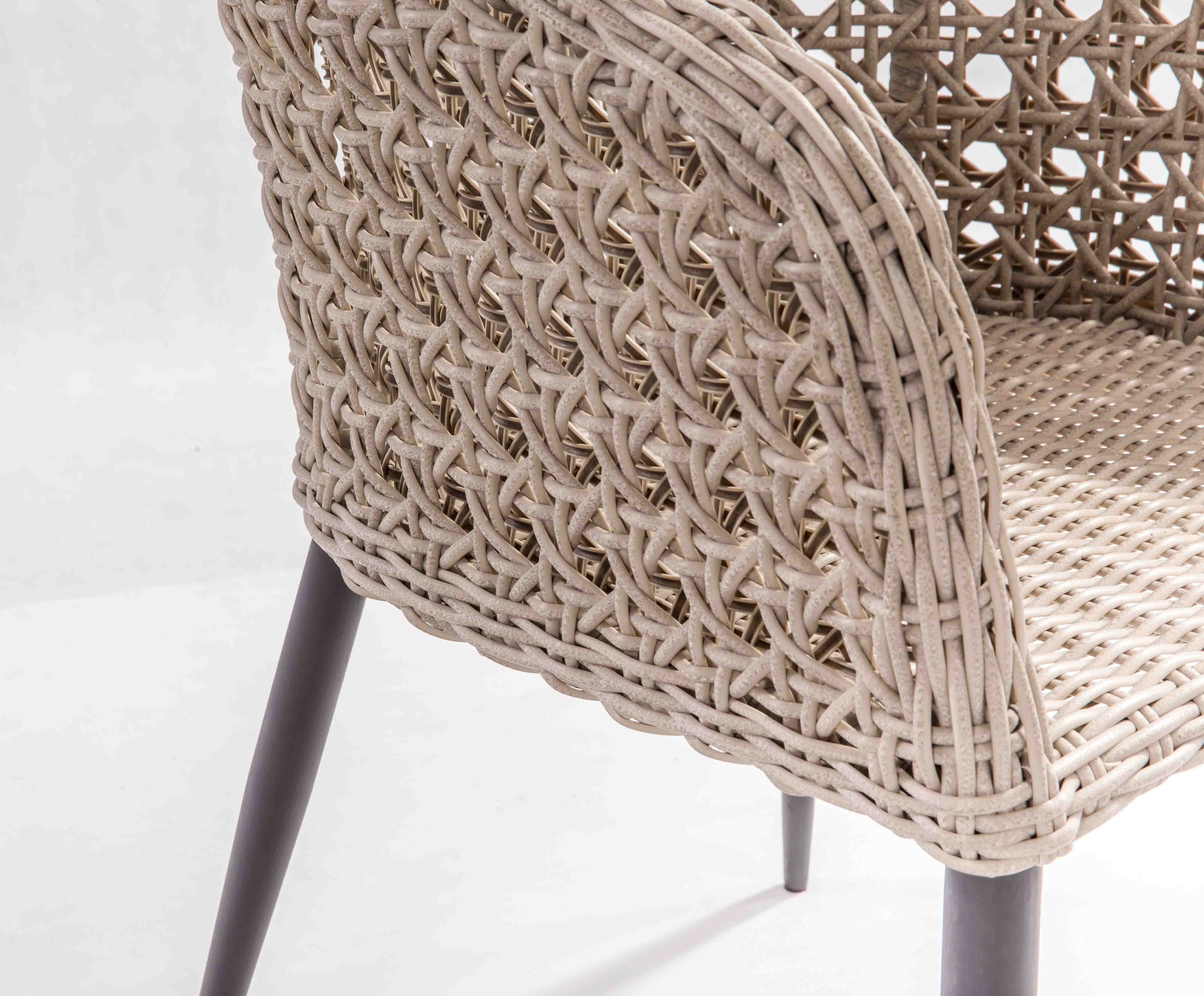 Wing rattan dining chair D1